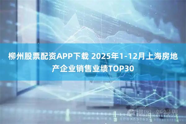 柳州股票配资APP下载 2025年1-12月上海房地产企业销售业绩TOP30